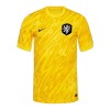 Maillot de Gardien Pays-Bas Euro 2024 Jaune Pour Homme